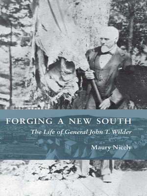 cover image of Forging a New South